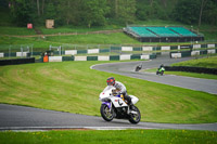 cadwell-no-limits-trackday;cadwell-park;cadwell-park-photographs;cadwell-trackday-photographs;enduro-digital-images;event-digital-images;eventdigitalimages;no-limits-trackdays;peter-wileman-photography;racing-digital-images;trackday-digital-images;trackday-photos